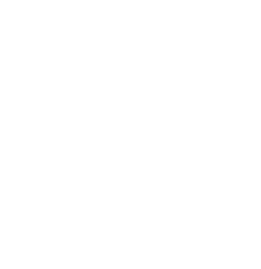 FV
