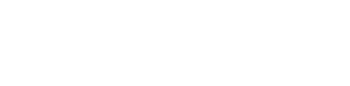Peisa
